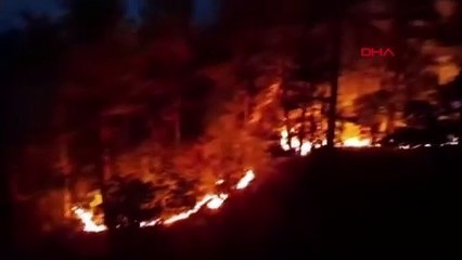 Karabük'te devam eden orman yangınıyla ilgili açıklama