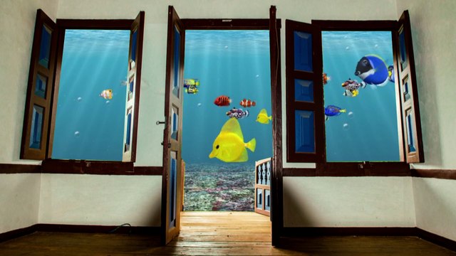 l'Aquarium de Mes Rêves 🐠 Ꙭ 🐠 My Dream Aquarium