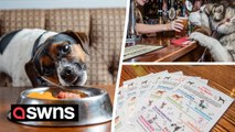 Pub crowned Britain’s best for dogs for second year thanks to library of sticks and two menus for pooches