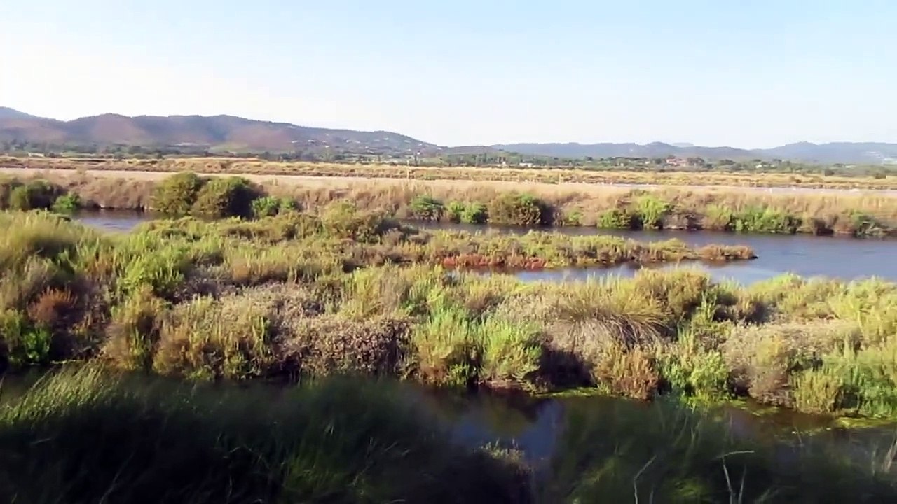 Hyères-Les vieux salins 2023