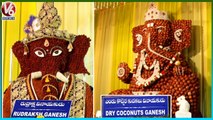 Different Types Of Ganesh Idols _ Rudraksha Ganesh _ Dry Coconuts Ganesh _ V6 News
