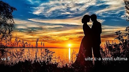 Puiu Nastase-ultima zi