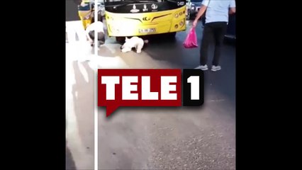 Otobüsün altına giren kişiye "Ne işin var burada?" deyip tokat attı