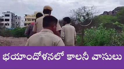 హన్మకొండ: ముసలి కోసం గాలిస్తున్న ఫారెస్ట్ అధికారులు..!