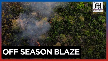 Brazil battles wildfires despite wintry weather