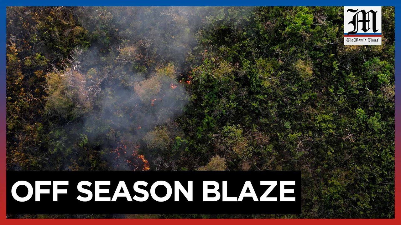 Brazil battles wildfires despite wintry weather