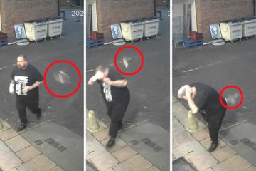 Hilarious footage captures the moment an unsuspecting shopper is hit in the face - by a PIGEON