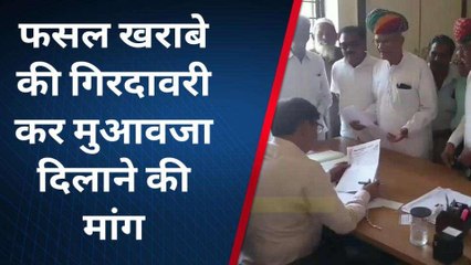 ब्यावर: फसल खराबे की गिरदावरी कर मुआवजा दिलाने की मांग, सौंपा ज्ञापन