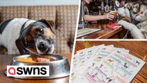 Pub crowned Britain’s best for dogs for second year - thanks to library of sticks and two menus for pooches
