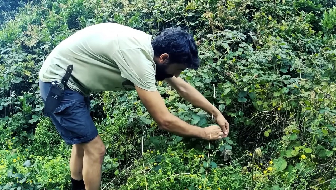 3 DAYS solo survival (NO FOOD, NO WATER, NO SHELTER) Catch and Cook, FISHING - Bushcraft Camping