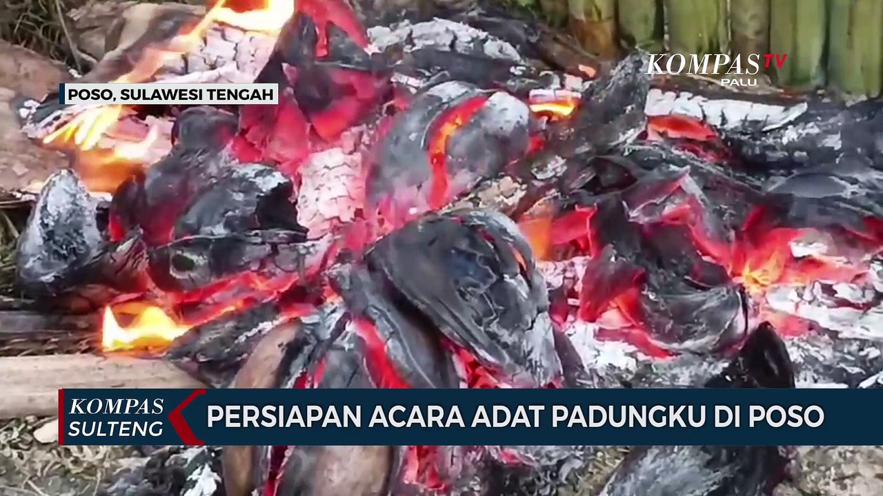 Persiapan Adat Padungku di Poso