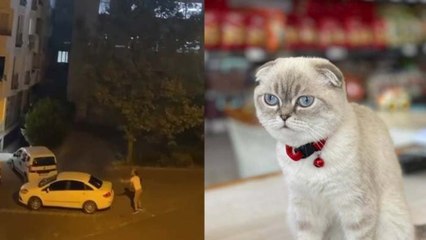 Esenyurt’ta silahlı kedi kavgası: Kurye vuruldu