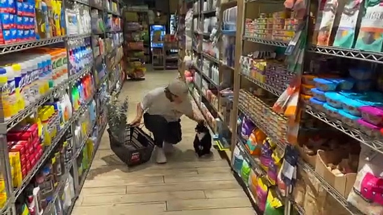 Morgan_comes_to_NYC,_cleans_out_Alex's_closet Alexandra diddario