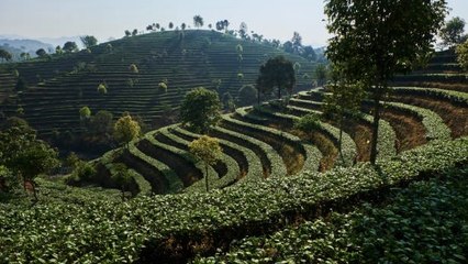 Estos Son Los 13 Nuevos Sitios Declarados Patrimonio Mundial De La UNESCO