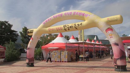 [경기] 이천 장호원 햇사레 복숭아축제 개막 / YTN