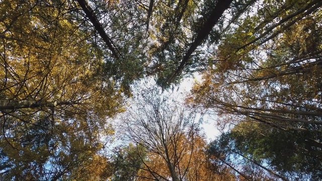 Cinematic Shots Footage Free Stock