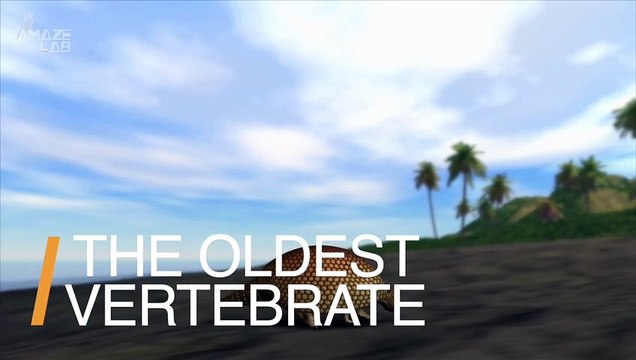 New 3D Renders of the Oldest Vertebrate Fossil Ever Discovered Are Providing New Clues About Our Own Evolutionary Biology