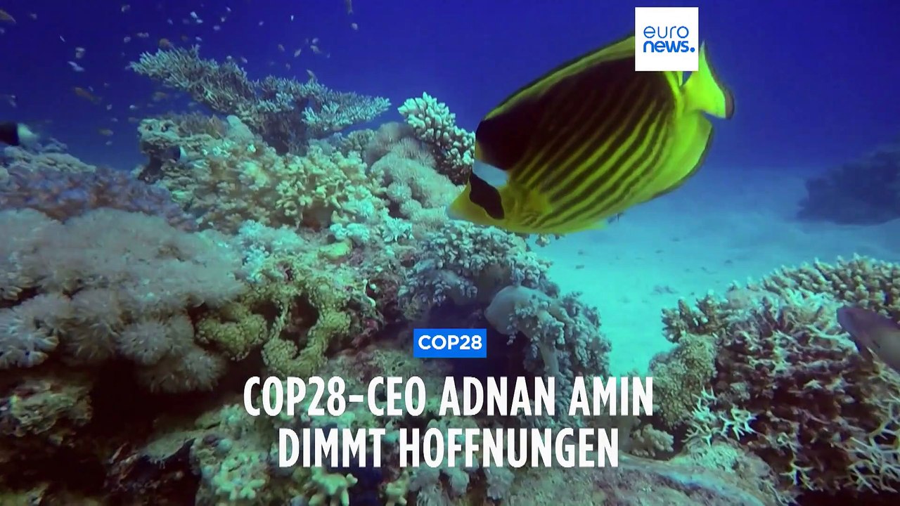 COP28-CEO hält Ausstieg aus fossilen Brennstoffen für unwahrscheinlich