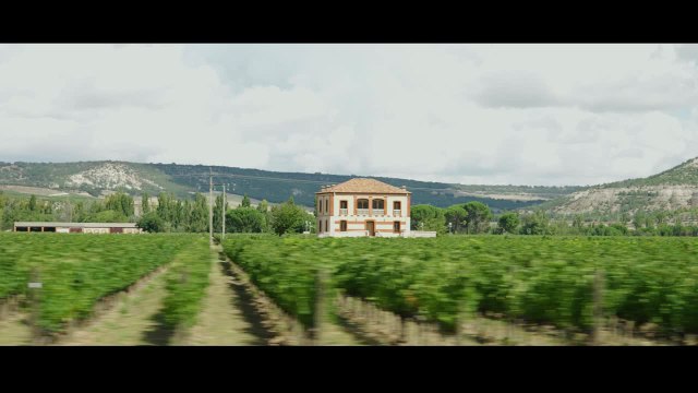 DO Ribera del Duero, la melodía del vino