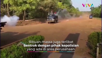 Warga Kalteng Vs Polisi Bentrok! Sejumlah Rumah Dibakar