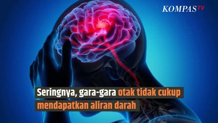 Bagaimana Rasanya saat Jatuh Pingsan? | SINAU