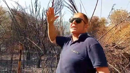 Torna il fuoco, devastazione  da Palermo a Messina