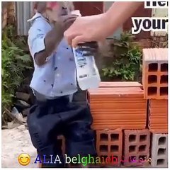 monkey work hard hahaha