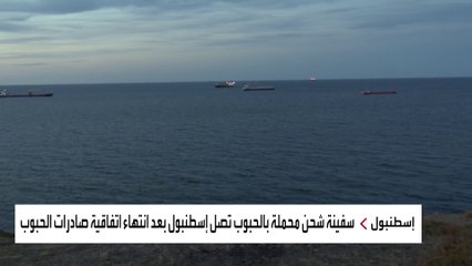 كيف وصلت أول سفينة أوكرانية محملة بالحبوب إلى تركيا؟