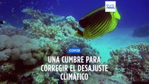 COP 28 | Retos y obstáculos para la cumbre del clima