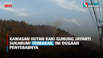 Kawasan Hutan Kaki Gunung Jayanti Sukabumi Terbakar, Ini Dugaan Penyebabnya