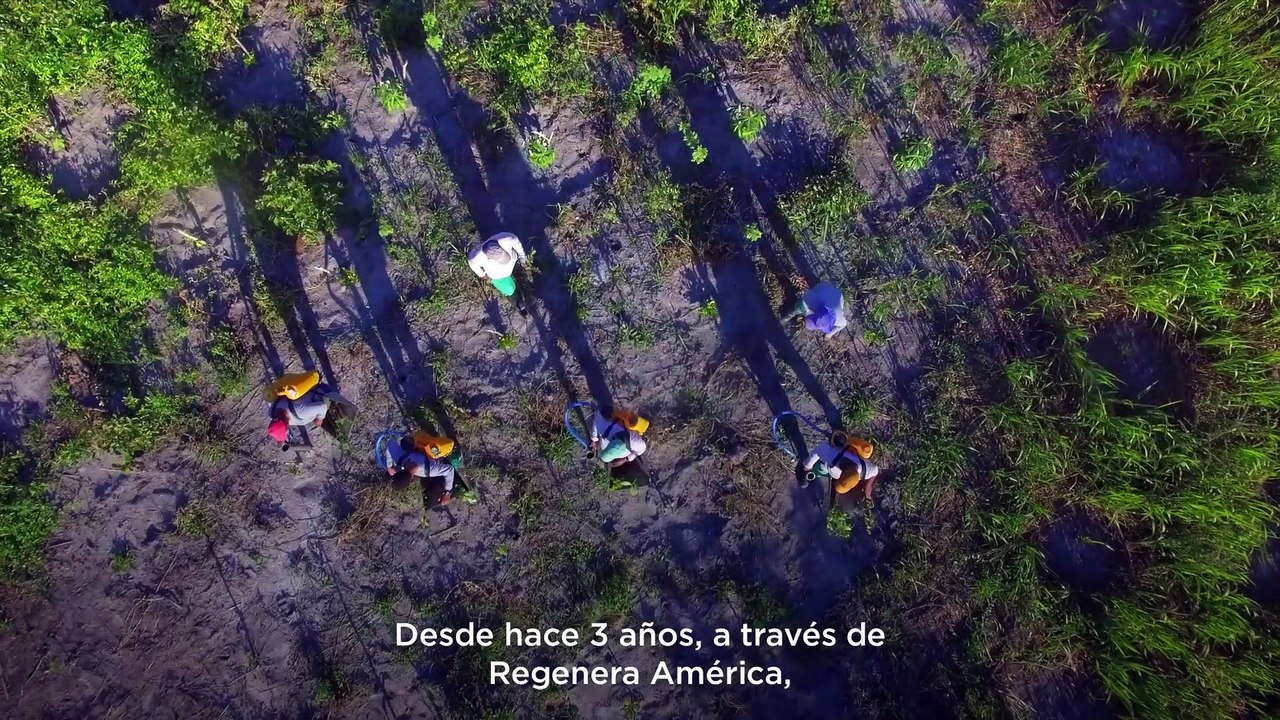 Regenera América 2023