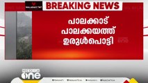 പാലക്കാട് പാണ്ടൻ മലയിൽ ഉരുൾപൊട്ടി. കാഞ്ഞിരപ്പുഴയിലെ ജലനിരപ്പ് ഉയർന്നു