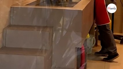 Dans la rue, elle s’arrête devant un toiletteur : ce qu’elle voit dans la vitrine fascine 3M de personnes (Vidéo)