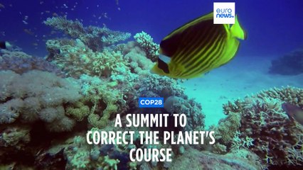 Can COP 28 steer climate change back on course?