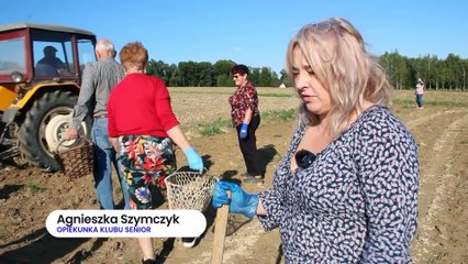 Łużna - święto ziemniaka