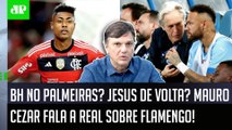 Jorge Jesus PODE VOLTAR ao Flamengo? Bruno Henrique VAI pro Palmeiras? Mauro Cezar FALA A REAL!