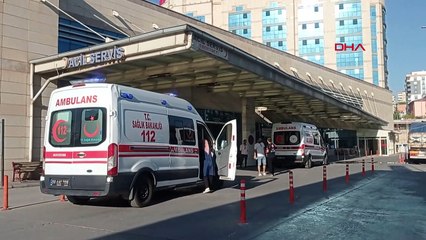 Siirt'te Ayı Saldırısına Uğrayan Genç Köpekleri Sayesinde Kurtuldu