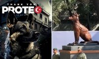 Adıyaman'da arama kurtarma çalışmaları sırasında hayatını kaybeden Meksikalı kahraman köpek Proteo'nun heykeli sergilendi