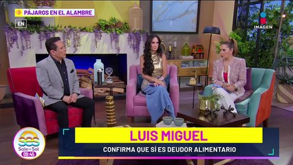 Luis Miguel SÍ es DEUDOR alimentario: Guillermo Pous