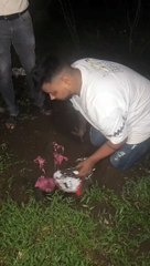 SURAT VIDEO NEWS  : तीन युवकों के कब्जे से मिली 4.15 करोड़ की अफगानी चरस