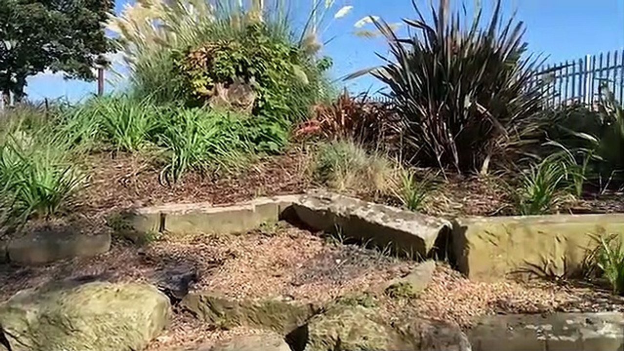 Once forgotten area of Skegness transformed into community sensorygarden.