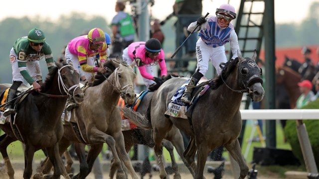 Turf Paradise Closing: Another Blow to Horse Racing Industry