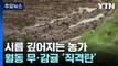 기록적 폭우로 제주 월동 무·감귤 '직격탄' / YTN