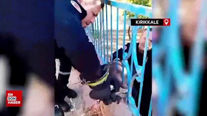 Demir korkuluğa sıkışan kedi kurtarıldı