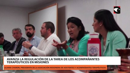 Avanza la regulación de los Acompañantes Terapéuticos en Misiones