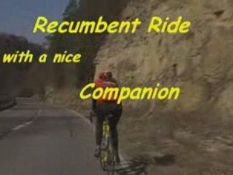 My favoured companion