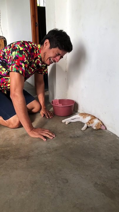Mi Gato se hacía el muerto