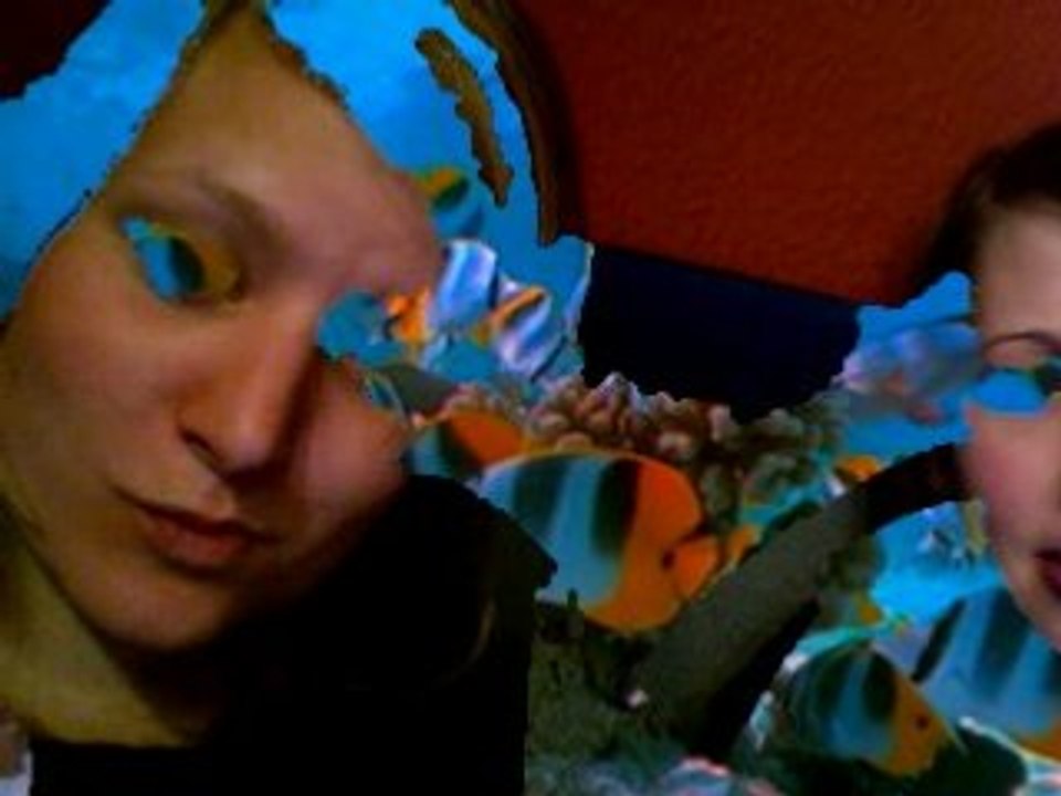 Fische durch de Kopp