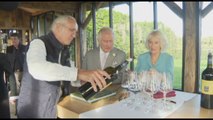 Carlo e Camilla a Bordeaux tra vigne, lama e degustazioni di vini