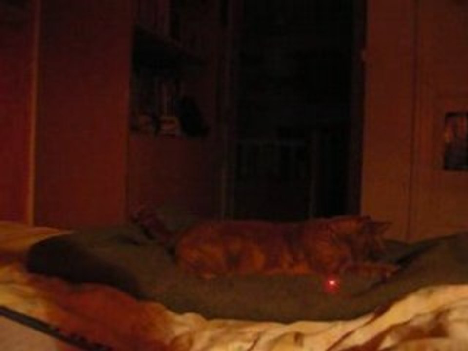 DSCN3442